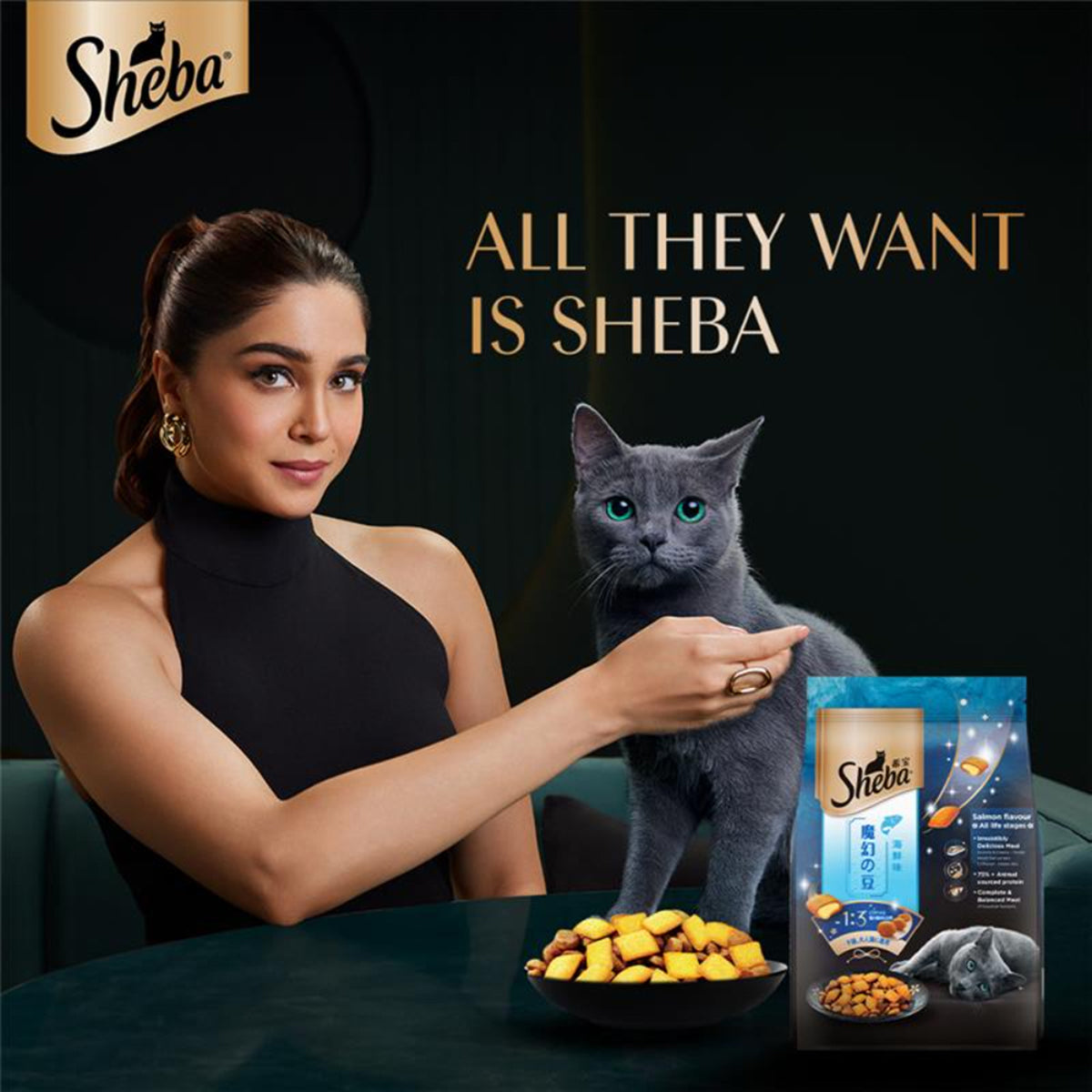 Sheba Irresistible Salmon Kitten and Adult Dry Cat Food - 1.5kg