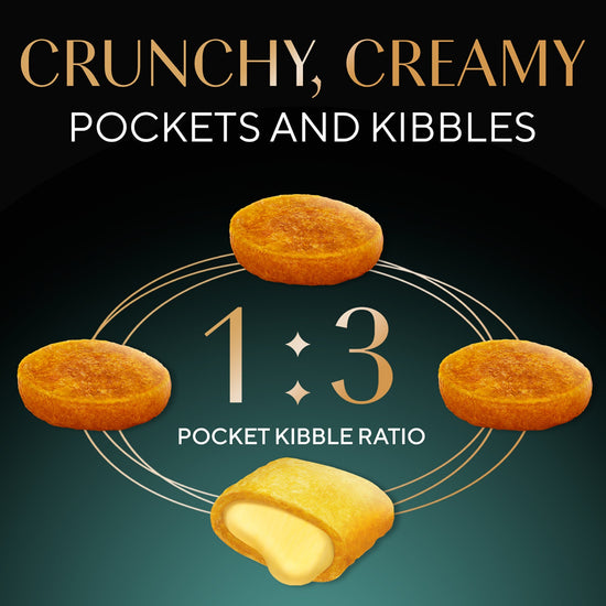 Sheba Irresistible Salmon Kitten and Adult Dry Cat Food - 1.5kg