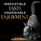 Sheba Irresistible Salmon Kitten and Adult Dry Cat Food - 1.5kg