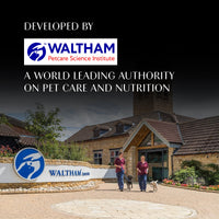 Sheba Irresistible Salmon Kitten and Adult Dry Cat Food - 1.5kg