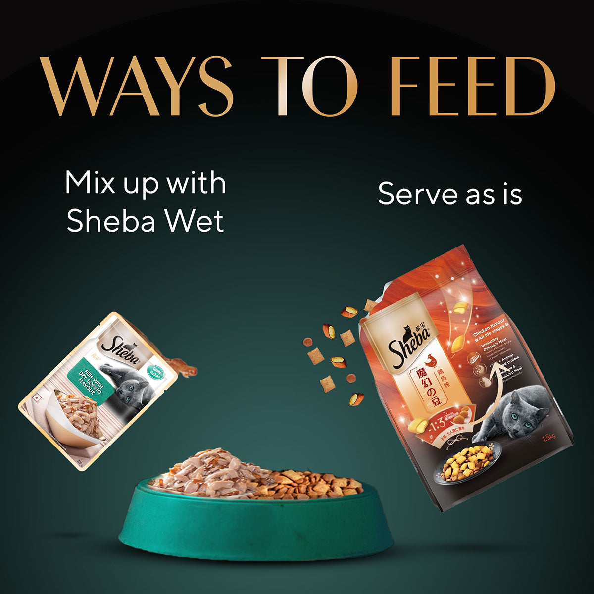 Sheba Irresistible Chicken Kitten and Adult Dry Cat Food