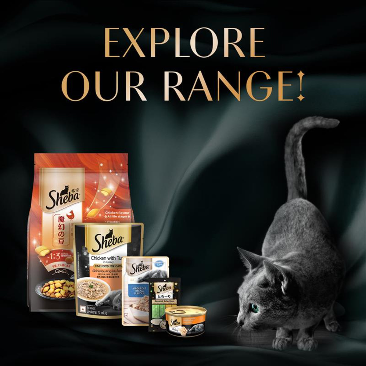 Sheba Irresistible Chicken Kitten and Adult Dry Cat Food