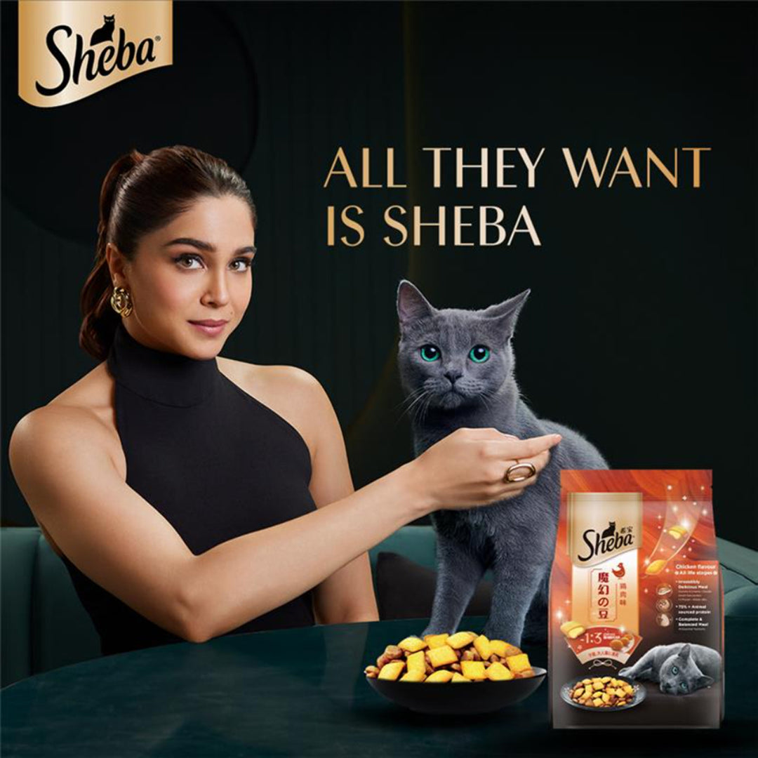 Sheba Irresistible Chicken Kitten and Adult Dry Cat Food
