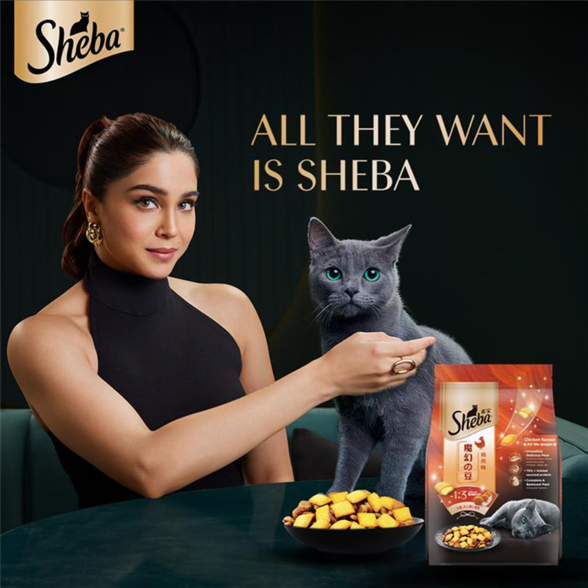 Sheba Irresistible Chicken Kitten and Adult Dry Cat Food