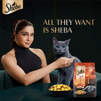 Sheba Irresistible Chicken Kitten and Adult Dry Cat Food