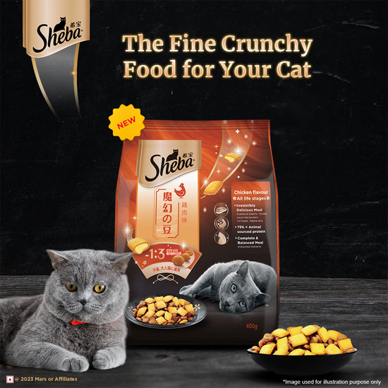 sheba-irresistible-chicken-kitten-and-adult-dry-cat-food