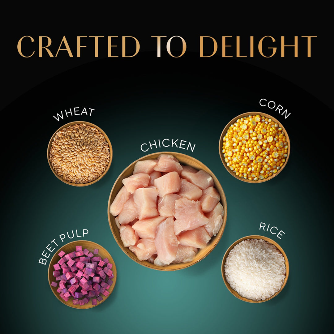 Sheba Irresistible Chicken Kitten and Adult Dry Cat Food