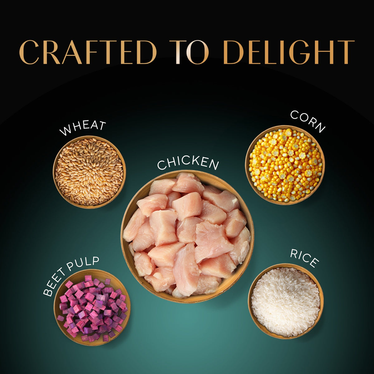 Sheba Irresistible Chicken Kitten and Adult Dry Cat Food