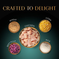 Sheba Irresistible Chicken Kitten and Adult Dry Cat Food