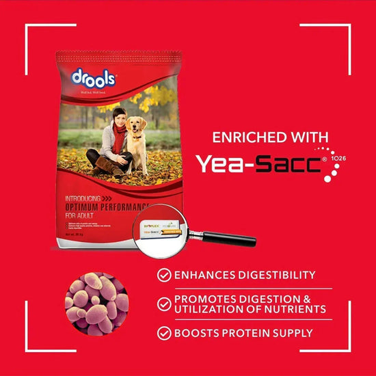 Drools Optimum Performance Dry Dog Food - All Breed Adult - 20kg - Zigly