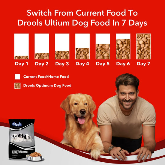 drools-ultium-performance-chunk-dry-puppy-food-20kg