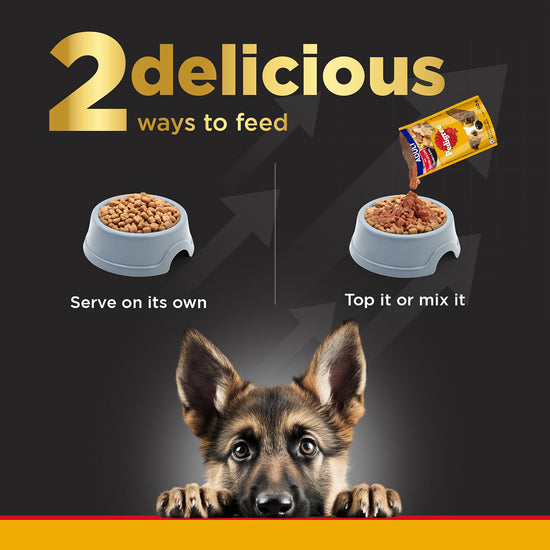 pedigree-pro-mother-pup-starter-small-breed-dry-dog-food-expert-nutrition-for-pregnant-lactating-mothers-pups-3-12-weeks-3kg