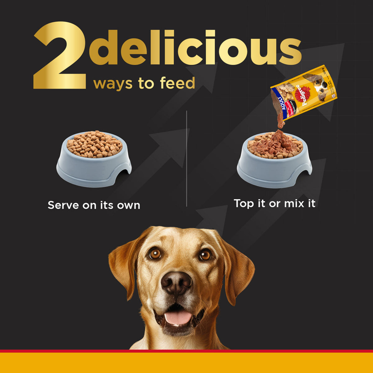 Pedigree PRO Expert Nutrition Dry Dog Food - Large Breed Starter for Lactating/Pregnant Mothers & Pups (3-12 Weeks) - 3kg