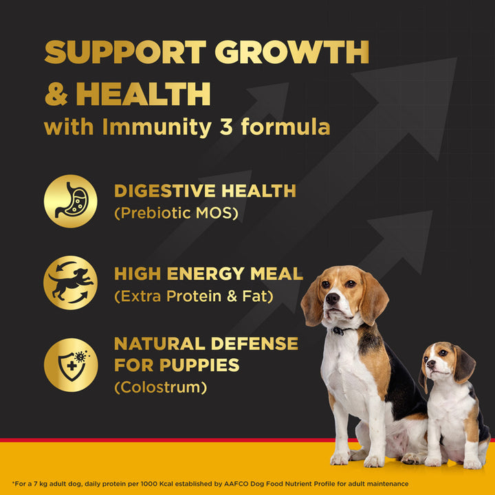 Pedigree PRO Expert Nutrition Dry Dog Food - Large Breed Starter for Lactating/Pregnant Mothers & Pups (3-12 Weeks) - 3kg