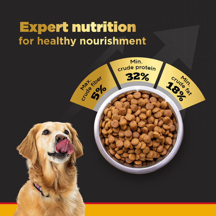 Pedigree PRO Expert Nutrition Dry Dog Food - Large Breed Starter for Lactating/Pregnant Mothers & Pups (3-12 Weeks) - 3kg