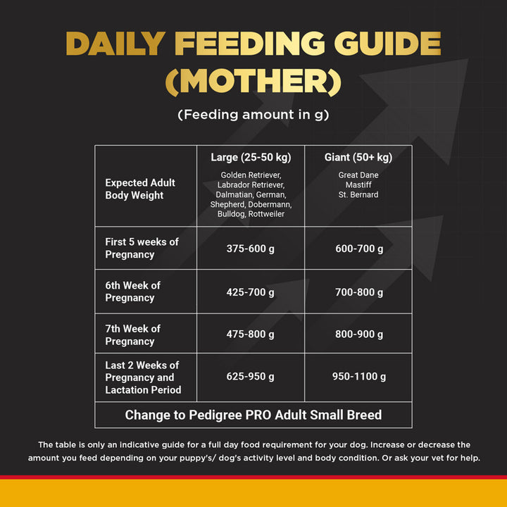Pedigree PRO Expert Nutrition Dry Dog Food - Large Breed Starter for Lactating/Pregnant Mothers & Pups (3-12 Weeks) - 3kg