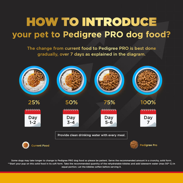 Pedigree PRO Expert Nutrition Dry Dog Food - Large Breed Starter for Lactating/Pregnant Mothers & Pups (3-12 Weeks) - 3kg