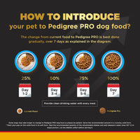 Pedigree PRO Expert Nutrition Dry Dog Food - Large Breed Starter for Lactating/Pregnant Mothers & Pups (3-12 Weeks) - 3kg