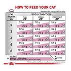 Royal Canin Veterinary Diet Renal Dry Cat Food - 2 Kg