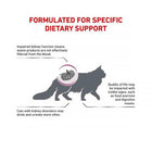 Royal Canin Veterinary Diet Renal Dry Cat Food - 2 Kg
