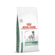 Royal Canin Veterinary Diet Diabetic Dry Dog Food - 1.5kg