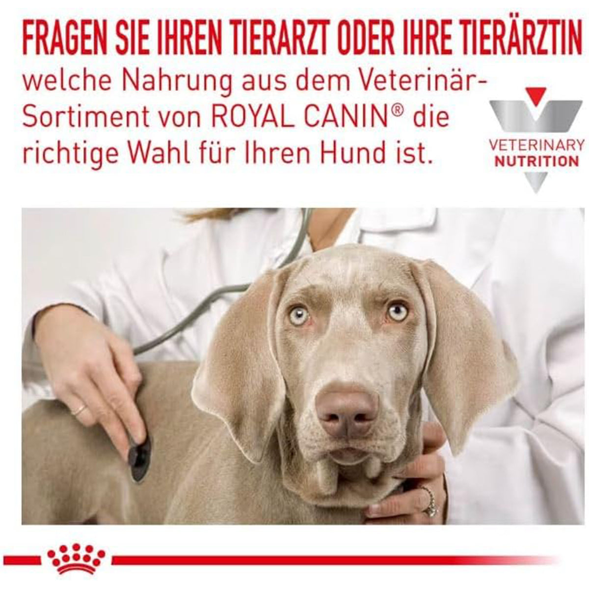 Royal Canin Veterinary Diet Hypoallergenic Moderate Calorie Dry Dog Food - 1.5kg