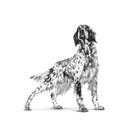 Royal Canin Gastrointestinal Low Fat Veterinary Dry Dog Food - All Breed Adult - 1.5kg - Zigly