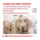 Royal Canin Veterinary Diet Urinary Dry Dog Food - 2kg - Zigly