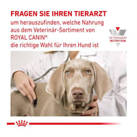 Royal Canin Veterinary Diet Urinary Dry Dog Food - 2kg
