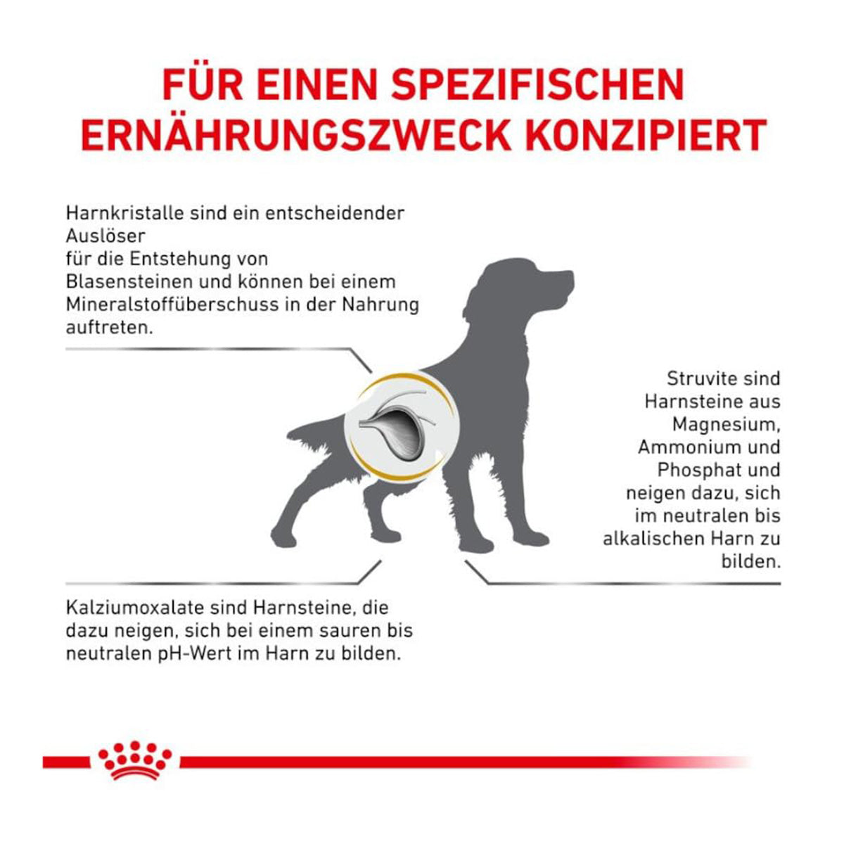 Royal Canin Veterinary Diet Urinary Dry Dog Food - 2kg