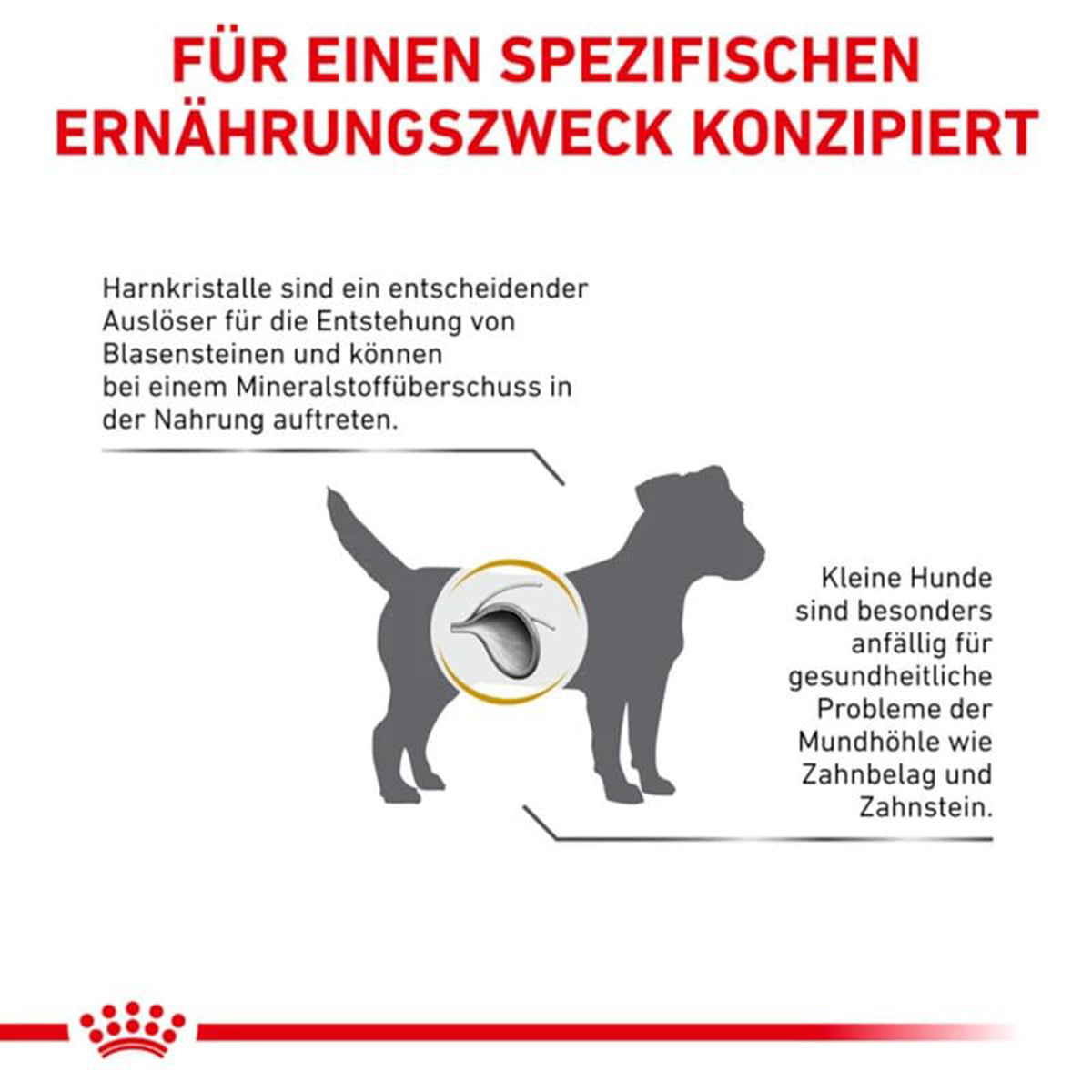 Royal Canin Veterinary Diet Urinary Small Dog Dry Dog Food - 1.5kg