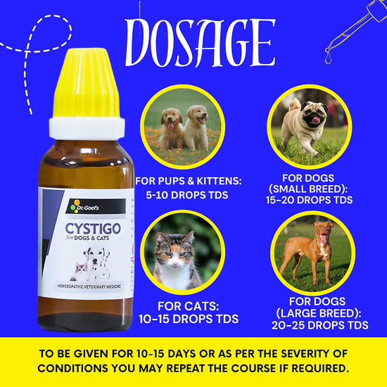 Dr Goel's Cystigo Drops For Pets Homeopathic Remedy For Treating Urinary Problems Infections