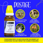 Dr Goel's Cystigo (Homeopathic Urinary Support) Drops for Dogs & Cats (30ml)