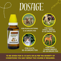 Dr Goel's Neuromate for Dogs and Cats (30ml)