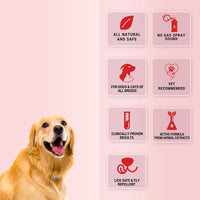 Natural Remedies Topicure Pet Wound Healing Spray