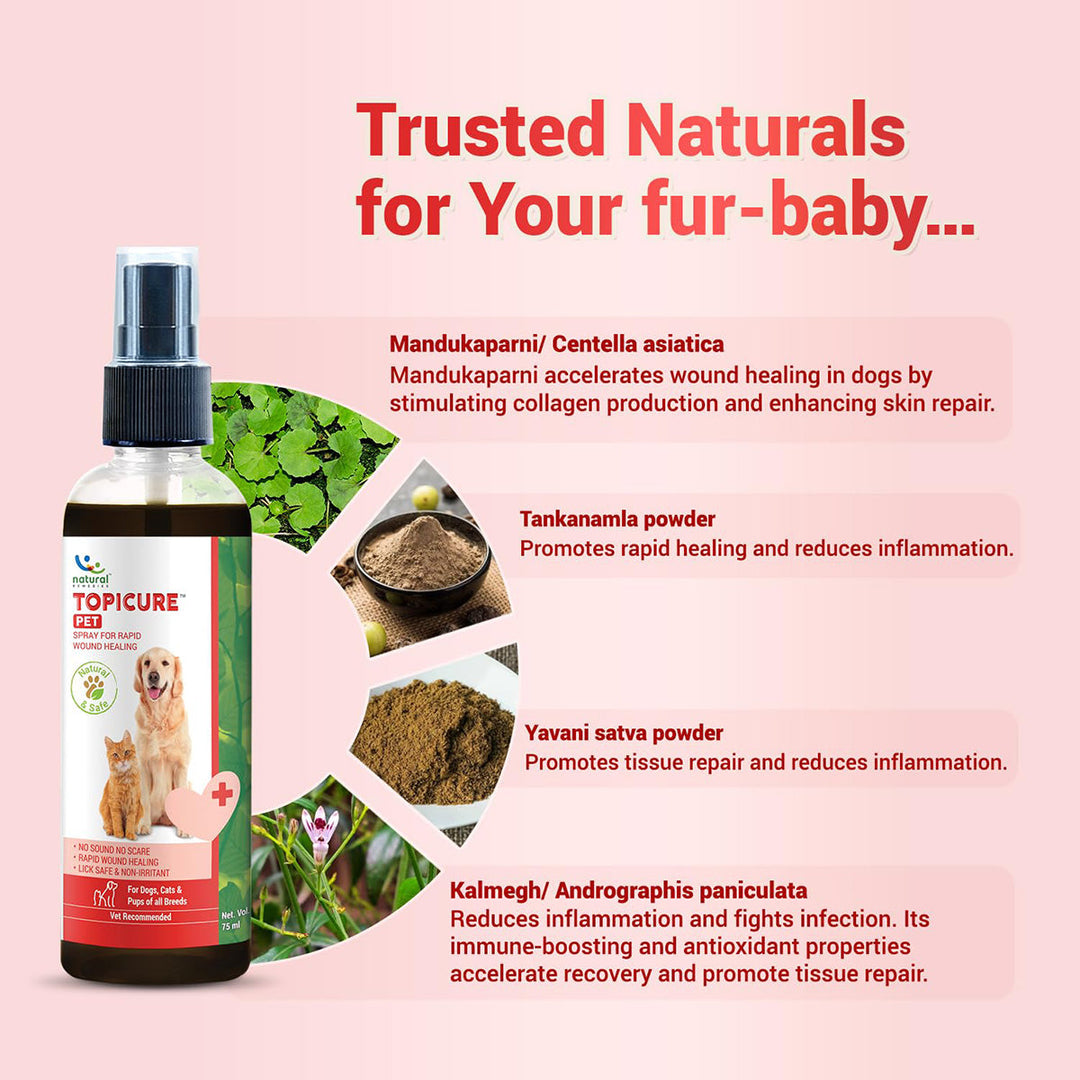 Natural Remedies Topicure Pet Wound Healing Spray