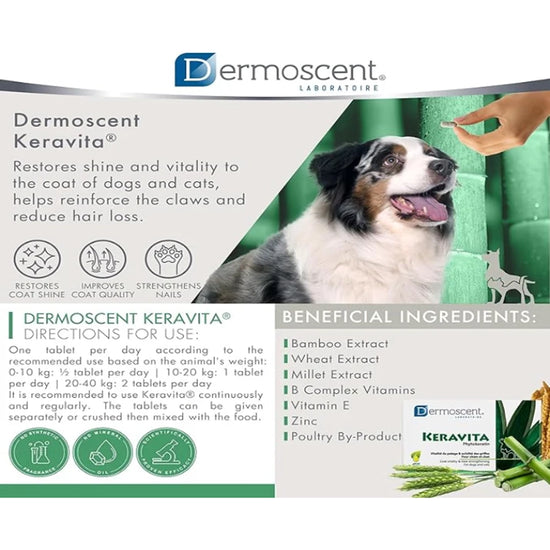 Savavet Dermoscent Keravita Capsules Coat supplement for Dogs & Cats - 30 Tablets