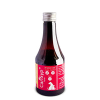 Areionvet Carisyp Immunity Booster Pet Supplement Syrup - 200ml