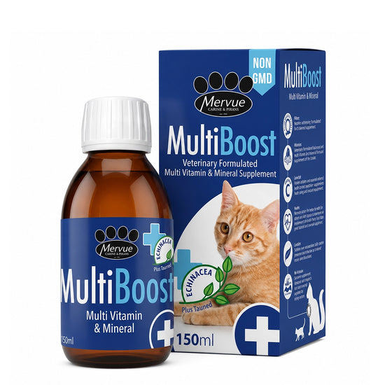 Mervue Multiboost (Taurine, Omega 3 & 6, Echinacea) Multivitamin Syrup for Cats (150ml)