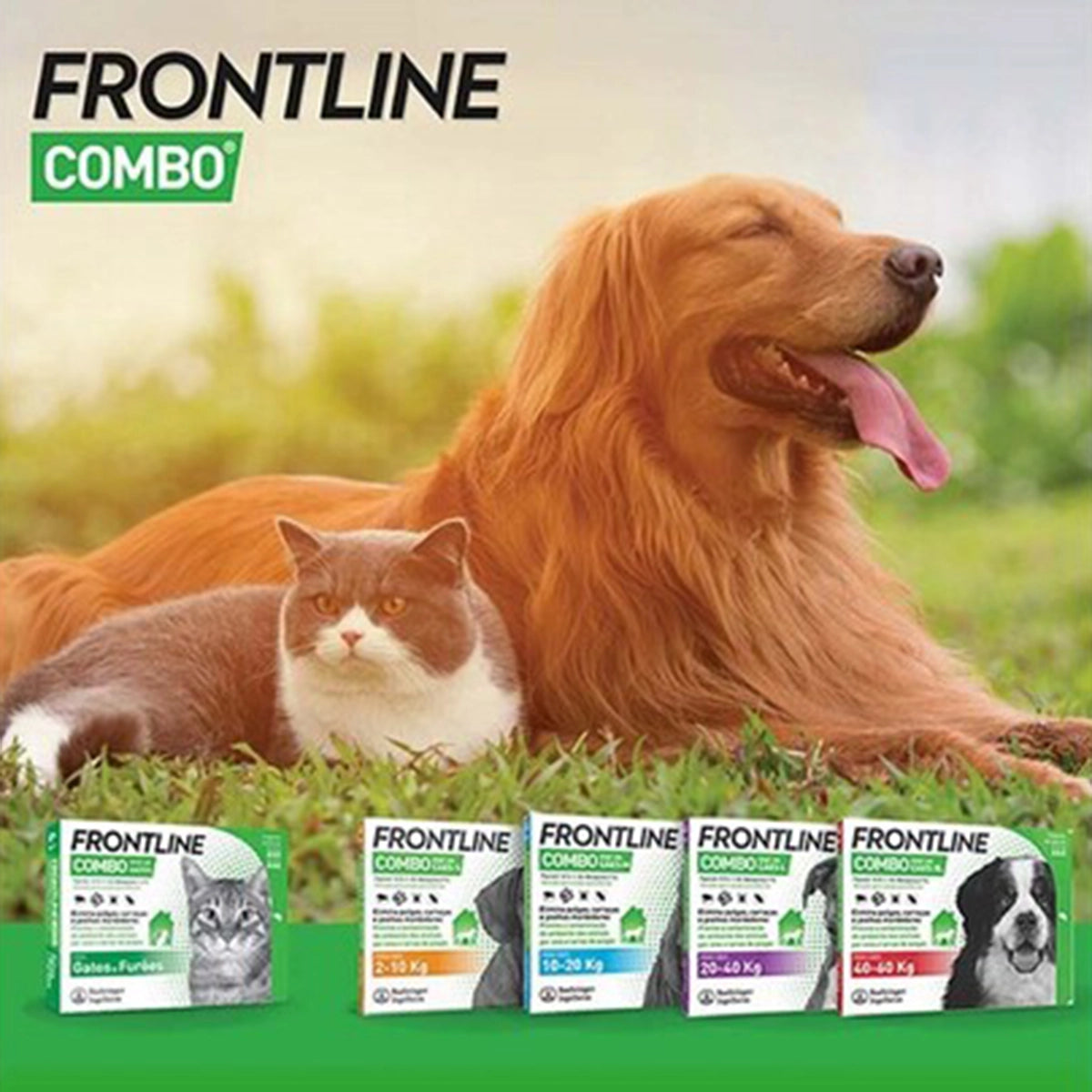 Frontline Combo Spot on Pipettes Dogs 40-60kg
