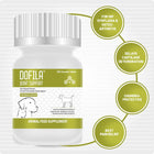 Aranex Dofila (Glucosamine, Chondroitin & MSM) Joint Support Tablet for Dogs & Cats (Pack of 30 Tablets)