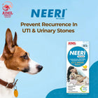 Aimil Pharmaceuticals India Ltd - VET Neeri Pet Liquid for UTI and urinary stones from zigly