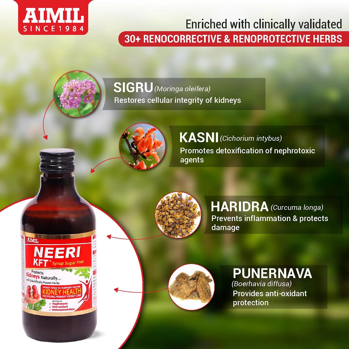 AIMIL Neeri Kft Sugar Free Liquid Syrup-200ml