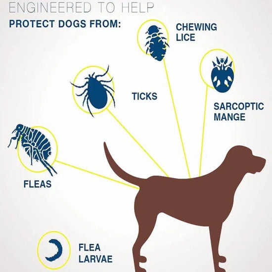 Bayer Seresto 8-Month Flea n Tick Collar for Large Dogs Up to 8kg