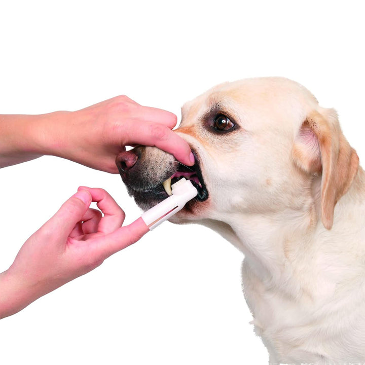 Trixie Toothbrush Set for Dog/Cat - 6cm - 2pcs