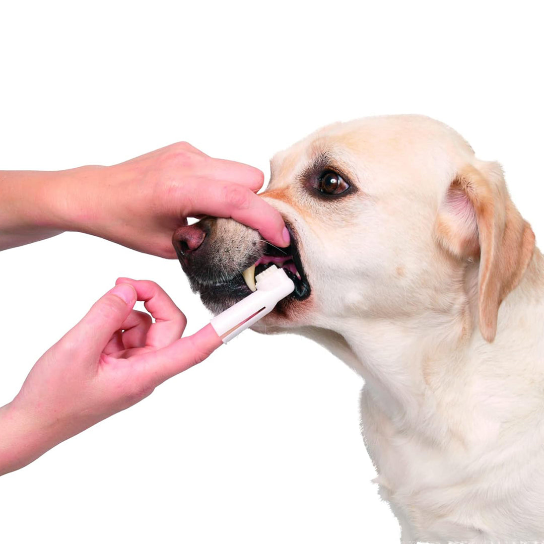 Trixie Toothbrush Set for Dog/Cat - 6cm - 2pcs