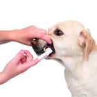 Trixie Toothbrush Set for Dog/Cat - 6cm - 2pcs - Zigly