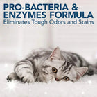 Simple Solutions Cat Stain and Odor Remover - 500ml - Zigly