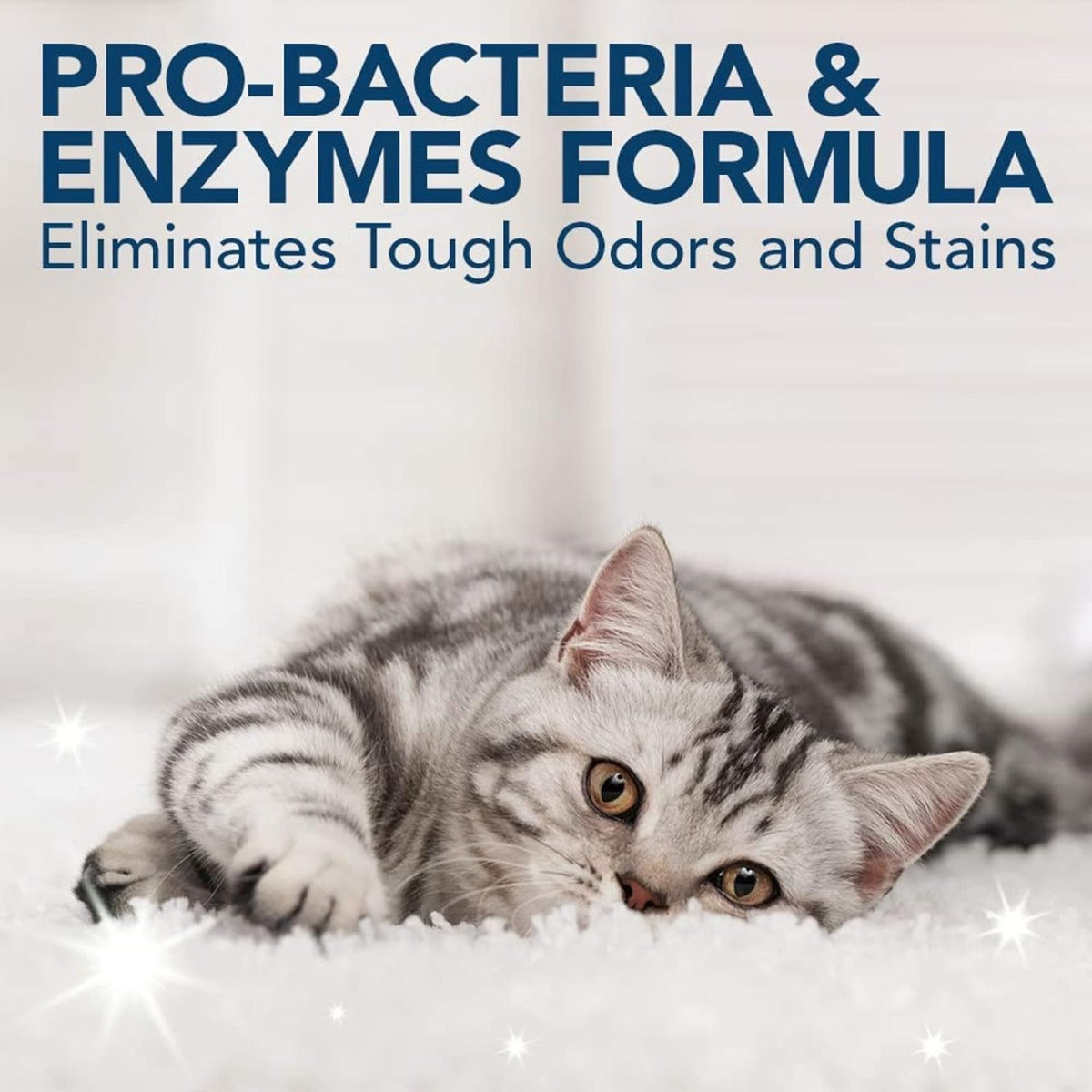 Simple Solutions Cat Stain and Odor Remover - 500ml