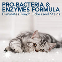Simple Solutions Cat Stain and Odor Remover - 500ml